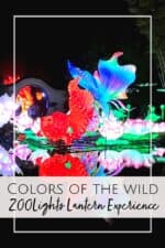 2025 Colors of the Wild Jacksonville ZOOLights Lantern Experience