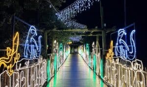 2025 Colors of the Wild Jacksonville ZOOLights Lantern Experience