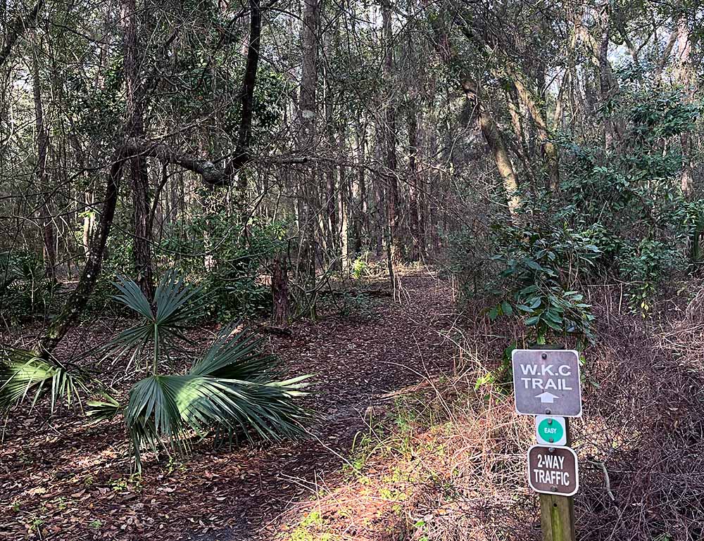 Take a Hike at Tillie Fowler Park