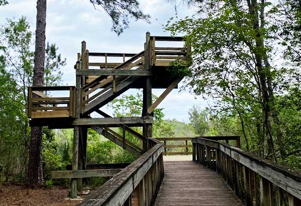 Tillie Fowler Park Jacksonville, FL