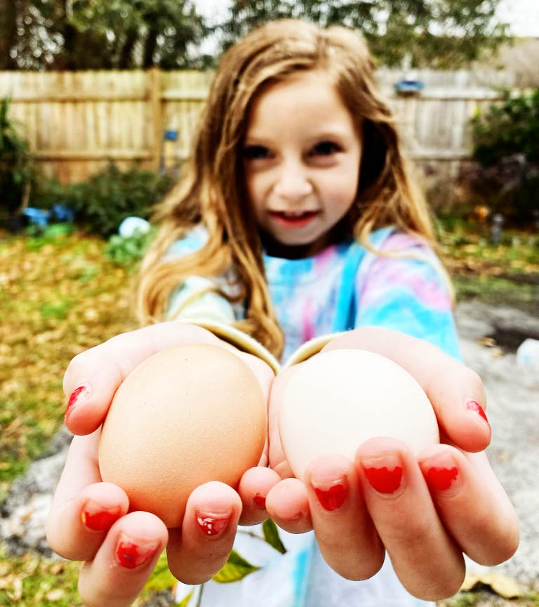 Local eggs in Jacksonville, FL