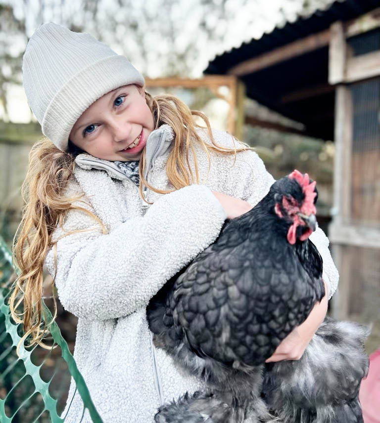 Can I have chickens in my yard in Jacksonville, FL?