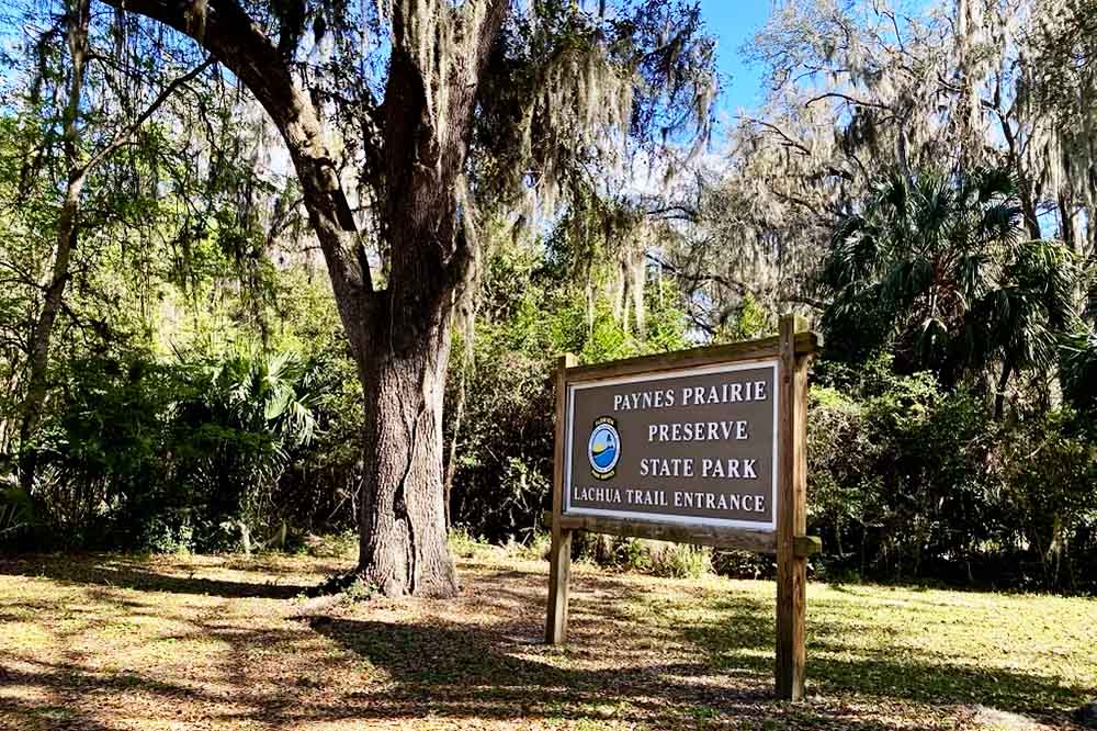 Paynes Prairie State Park in Florida