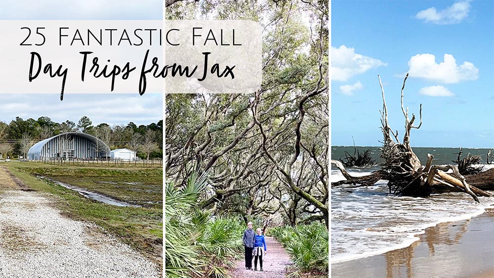 Fall Day Trips from Jacksonville, FL