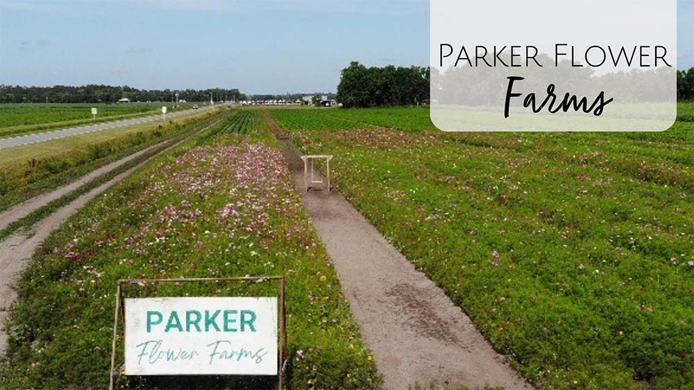 Parker Flower Farms - Jacksonville FL U-Pick Flower Farm
