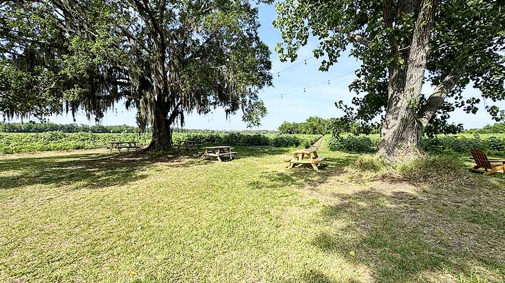 Flower Fields Picnic Area
