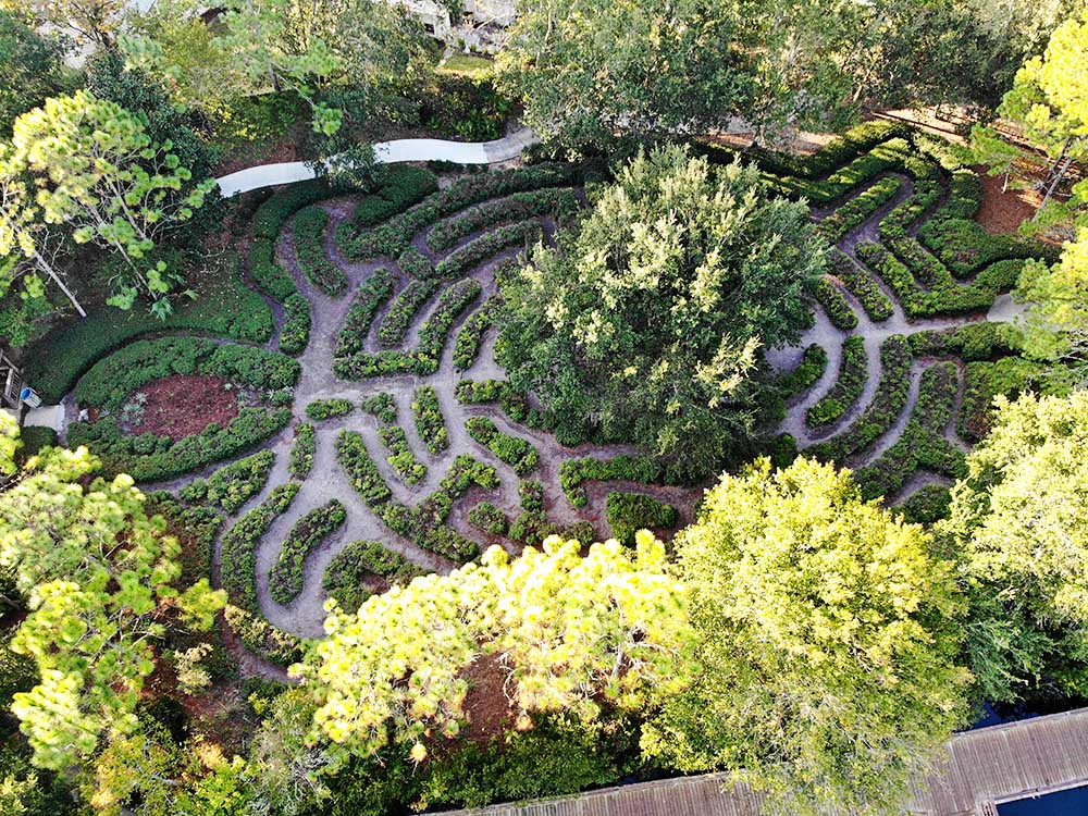 Bird Island Maze