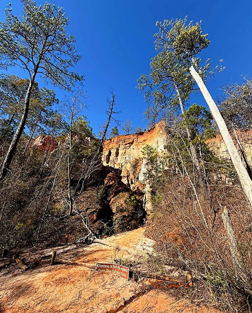 Georgia State Park - Providence Canyon